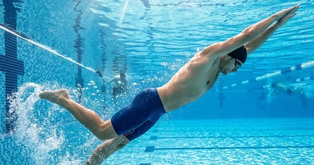 gaya renang dolphin kick