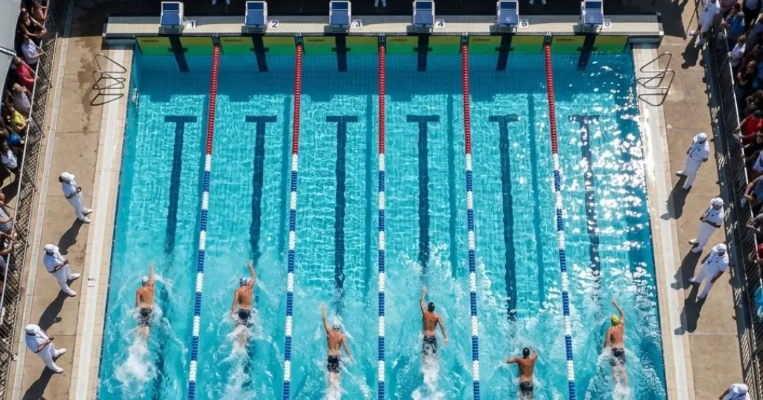 peraturan perlombaan renang diatur oleh organisasi internasional bernama